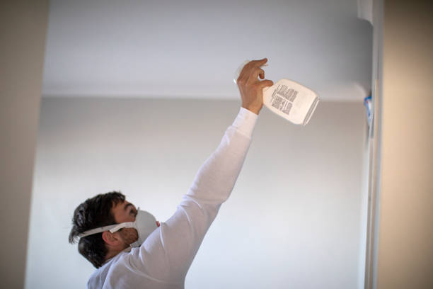 Best Residential Mold Removal  in Sanborn, IA