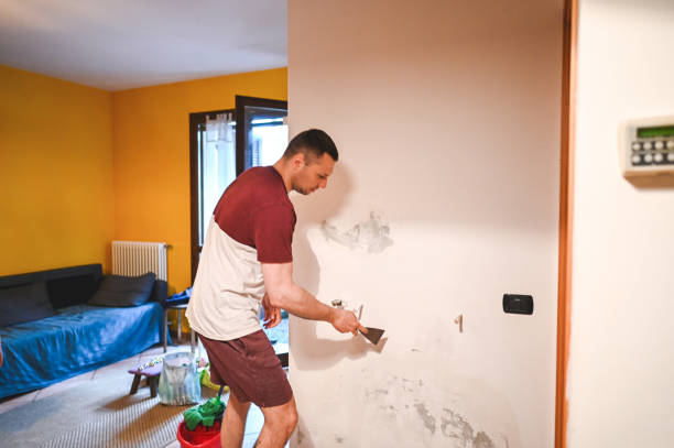 Best Office Mold Removal Services  in Sanborn, IA