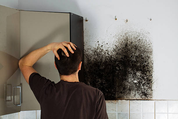 Best Crawl Space Mold Removal  in Sanborn, IA